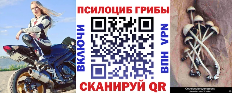 Галлюциногенные грибы прущие грибы  где купить   Ковров 